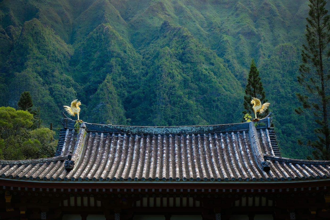 천품 게송 106–107에 대응하는 사진