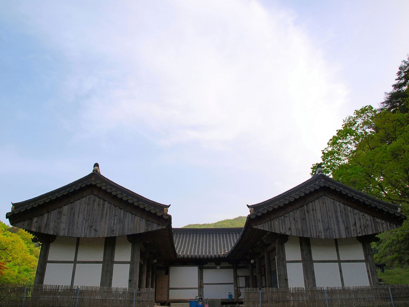 분노품 게송 233–234에 대응하는 사진