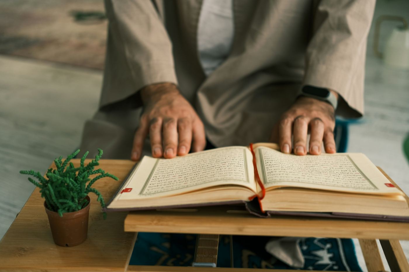 갈애품 게송 349–351에 대응하는 사진