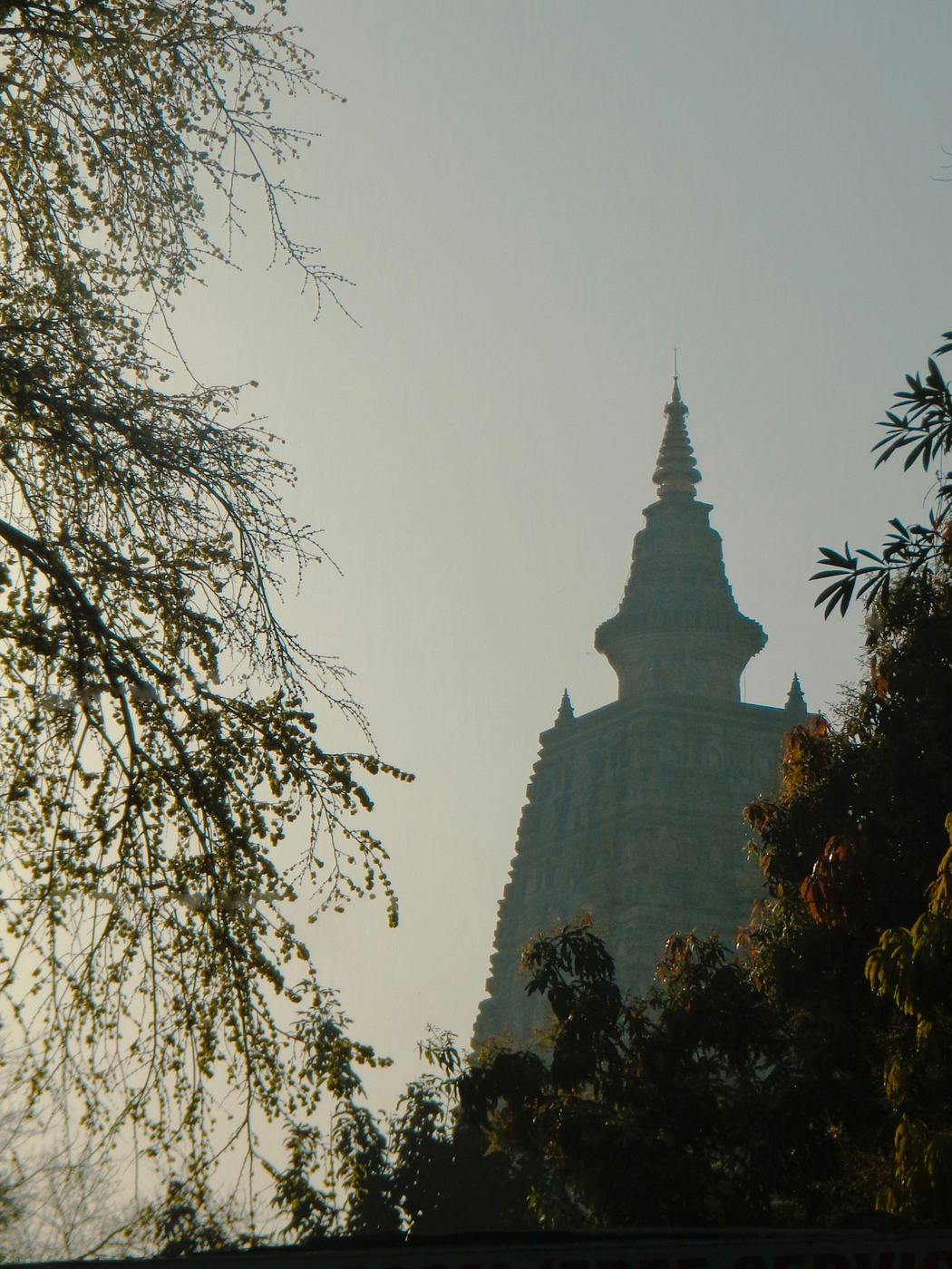 수행자품 게송 375–377에 대응하는 사진